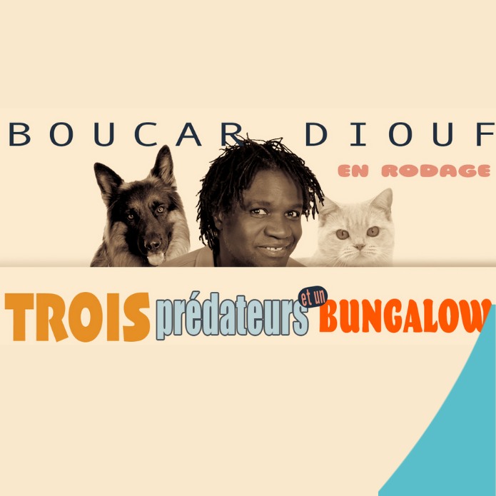 Boucar | Trois prédateurs et un bungalow