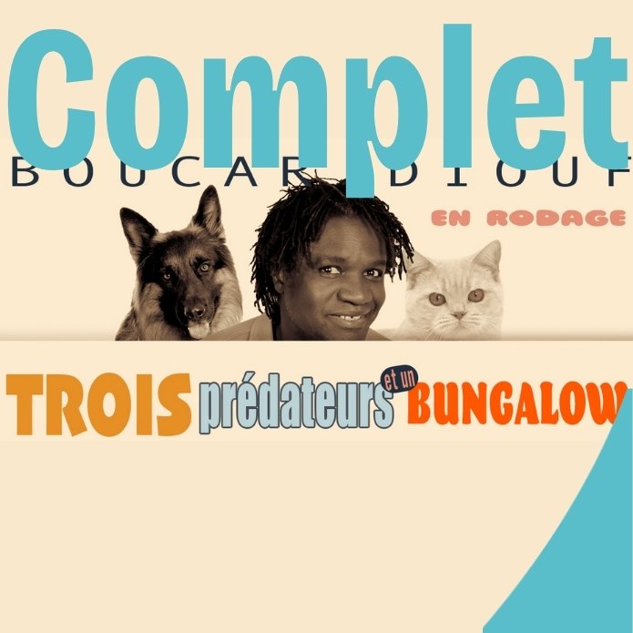 Boucar | Trois prédateurs et un bungalow